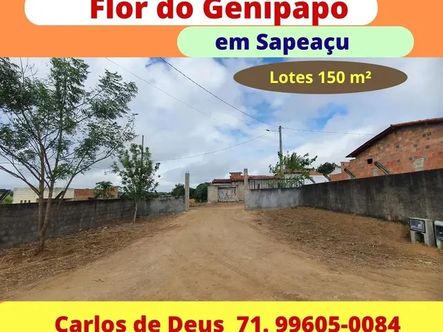 Imagem: Flor do Genipapo, Lotes por R$ 15.000,00