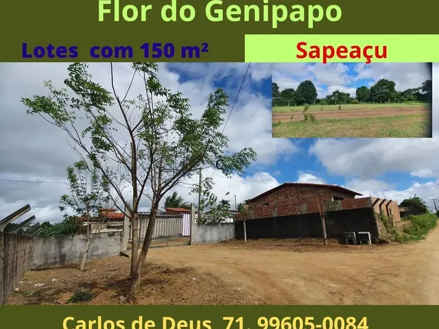 Imagem: Loteamento Flor do Genipapo, Lotes com 150