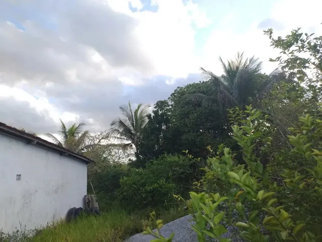 Imagem 3: Vendo Sítio em Alagoinhas