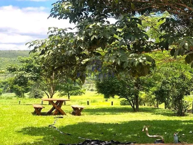 Imagem 6: Fazenda, Coronel Otaviano Alves, Lençóis - R$ 4.1 Mi, Cod: 68780