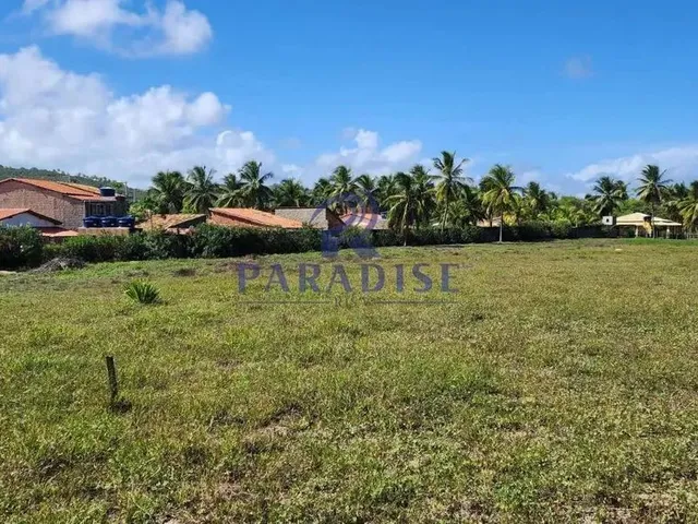 Imagem 3: Área, Sitio do Conde, Conde - R$ 1.6 Mi, Cod: 68726