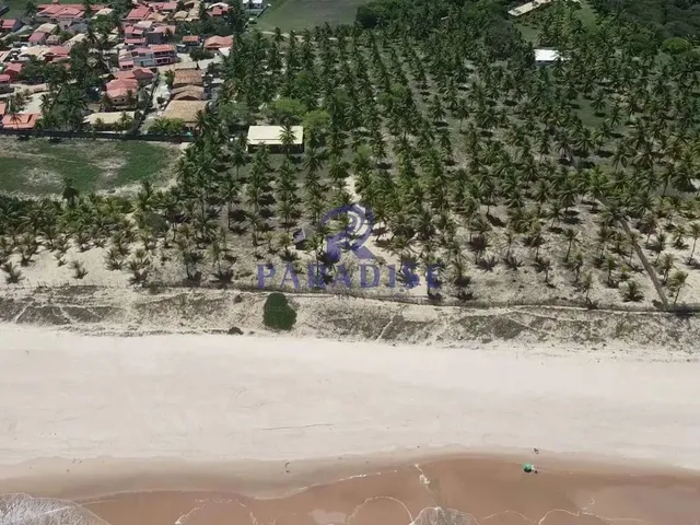 Imagem 5: Área, Sitio do Conde, Conde - R$ 1.6 Mi, Cod: 68726
