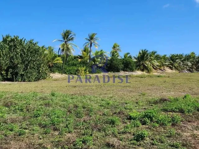 Imagem 8: Área, Sitio do Conde, Conde - R$ 1.6 Mi, Cod: 68726