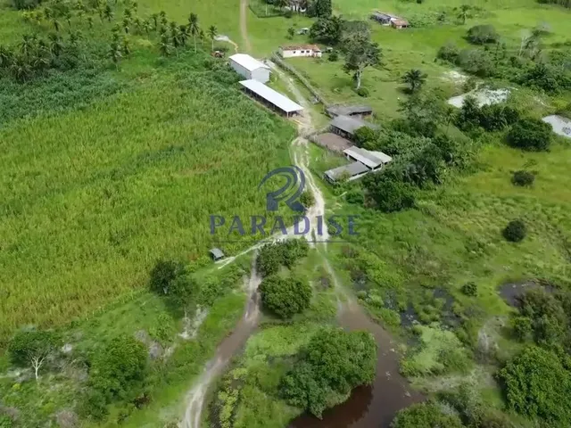Imagem: Fazenda, Centro, Cardeal da Silva - R$ 5