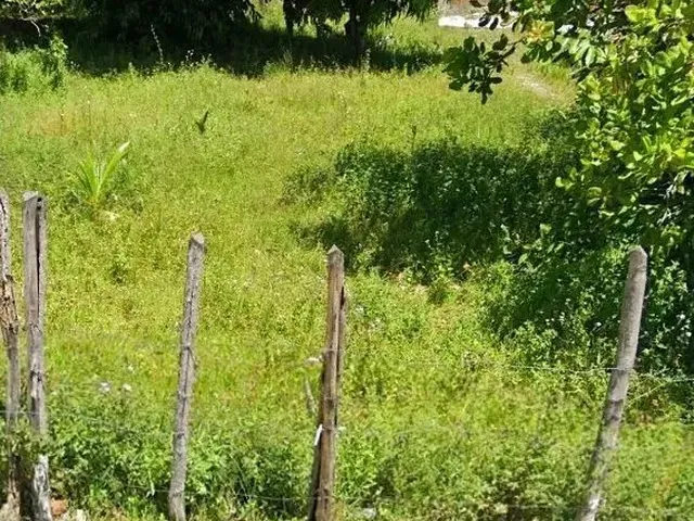 Imagem 4: Lote a Venda em Salinas das Margaridas/Ba