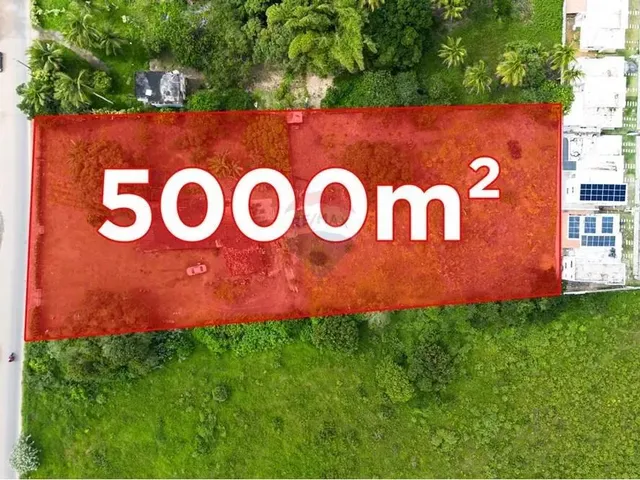 Imagem: Oportunidade Unica - Terreno Comercial 5.000M2