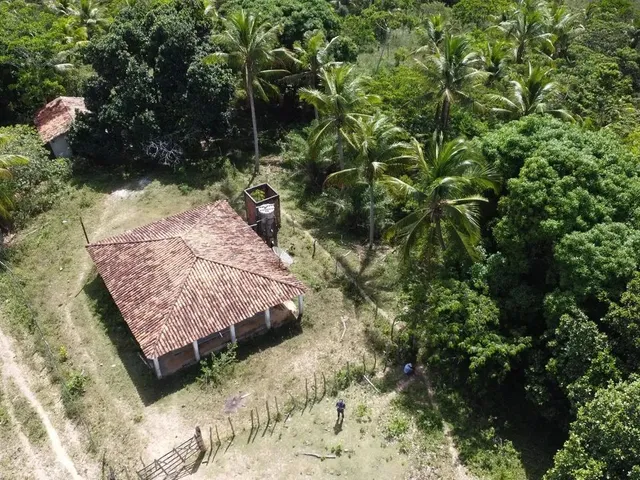 Imagem: Fazenda Mista em Conde -Ba