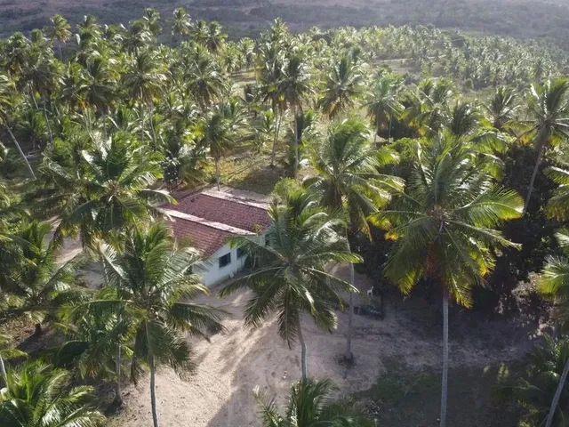 Imagem: Fazenda Mista em Conde -Ba