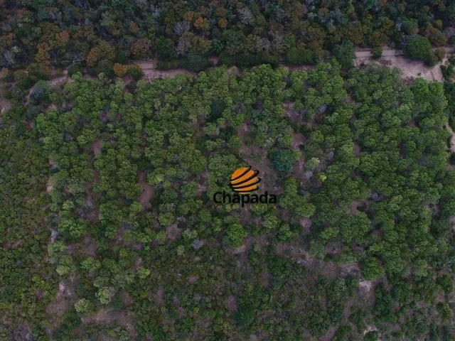 Imagem: Área À Venda, 432Ha por R$ 2.500.000