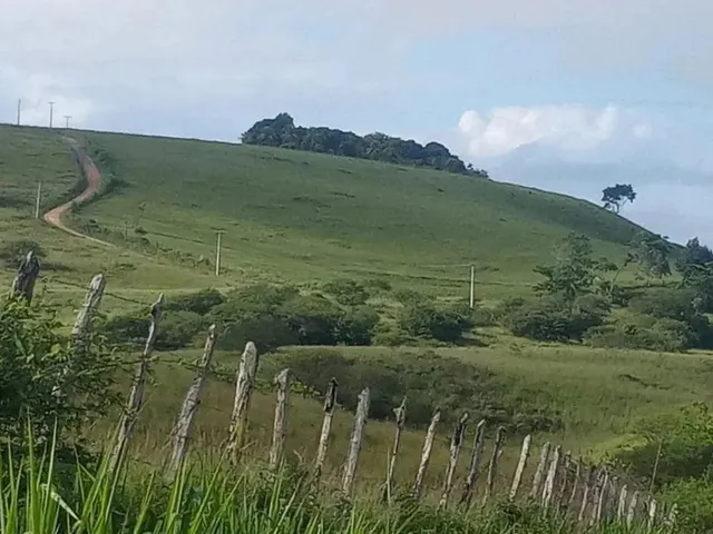 Imagem: Imóvel para Venda Possui 3700 Metros Quadrados