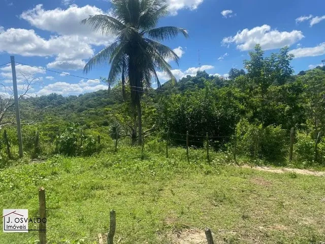 Imagem: Fazenda Rural em Santo Amaro - Ba, Zona
