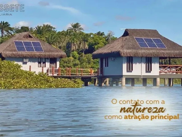 Imagem 2: Sitio Comercial em Saubara - Ba, Monte Cristo
