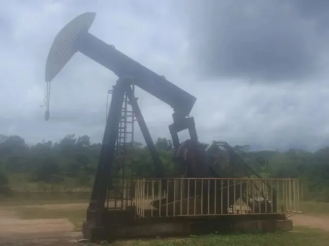 Imagem: Vendo 198 Tarefas em Itanagra