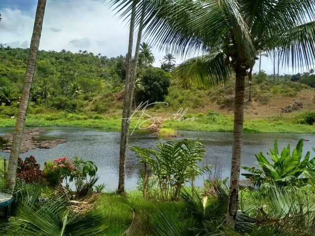 Imagem 2: Fazenda Rural em Valença - Ba, Valença