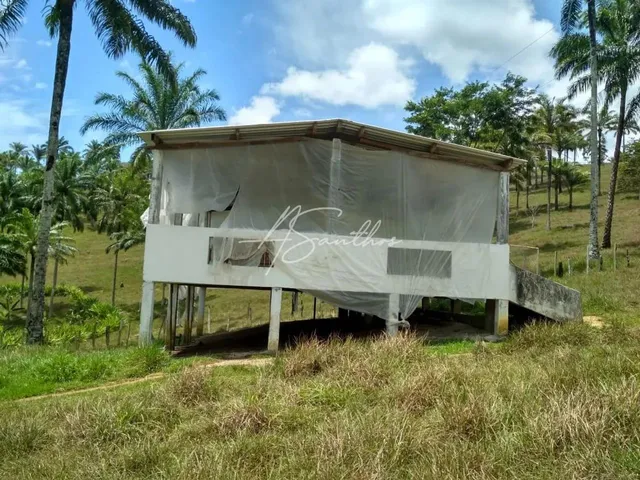Imagem 3: Fazenda Rural em Valença - Ba, Valença