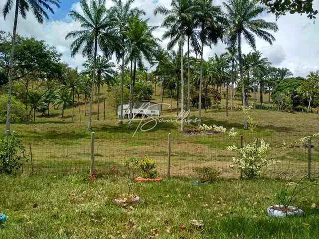 Imagem 10: Fazenda Rural em Valença - Ba, Valença