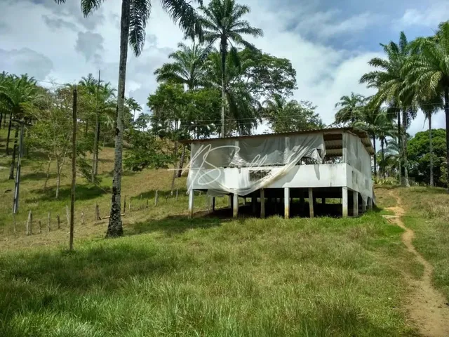 Imagem 5: Fazenda Rural em Valença - Ba, Valença
