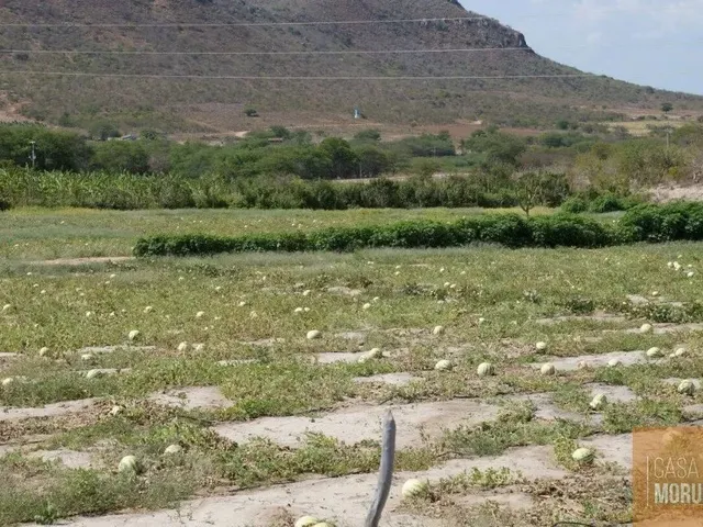 Imagem: Fazenda À Venda 16.000 Hectares em Ibó-Abare