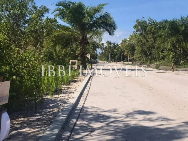 Imagem 14: Excelentes Terrenos na Quarta Praia