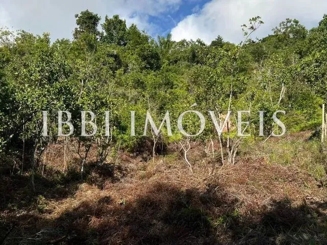 Imagem 14: Oportunidade Imperdível: Terreno com Vista Mar