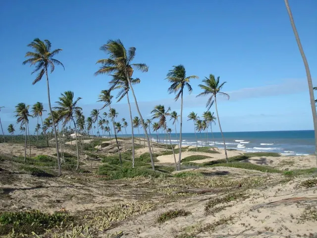Imagem: Barra do Itariri Terreno de Oportunidade