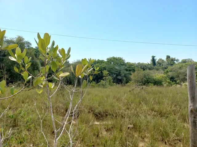 Imagem: Terreno para Venda com 366 Metros Quadrados