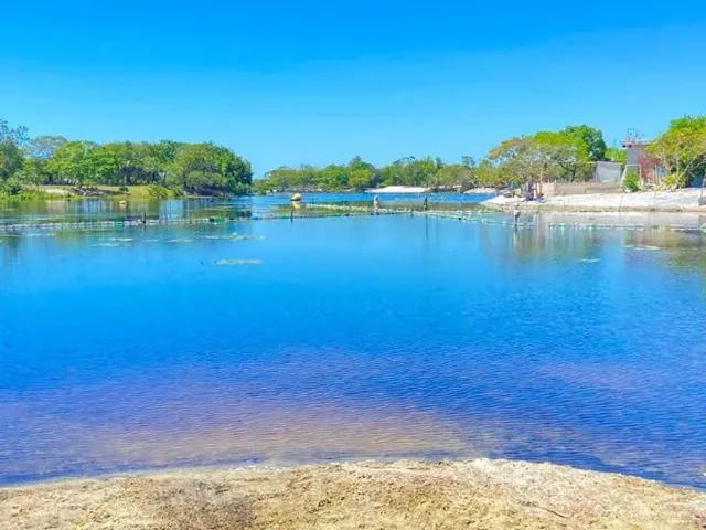 Imagem: Terreno À Beira da Lagoa Guanandy - Gomes
