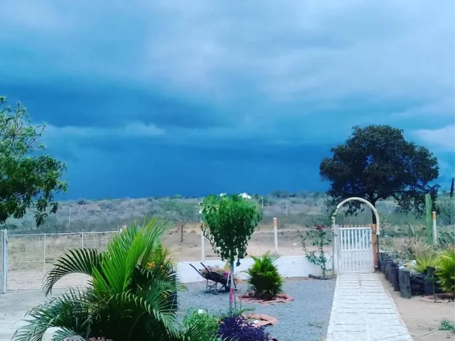 Imagem: Chácara em Monte Santo