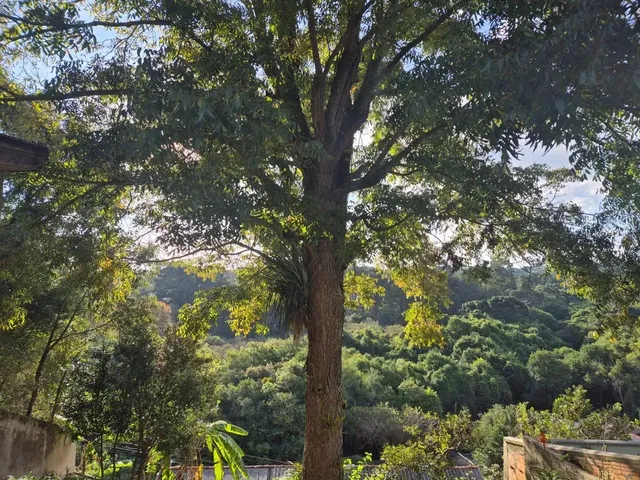 Imagem: Oportunidade de Ter Vista Exclusiva da Natureza
