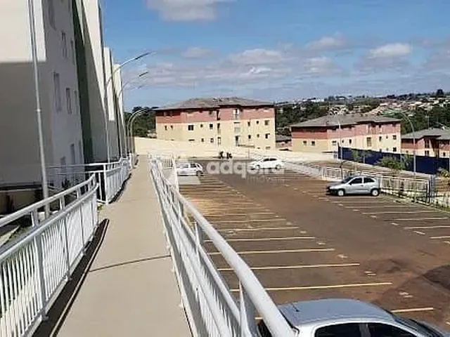 Imagem 4: Apartamento Semimobiliado para Venda - Estrela, Ponta Grossa, Pr