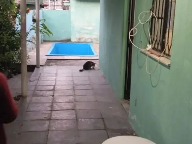 Imagem 3: Vendo Casa Colonial com Piscina ,1 Quarto , Espaço para Fazer Outro...