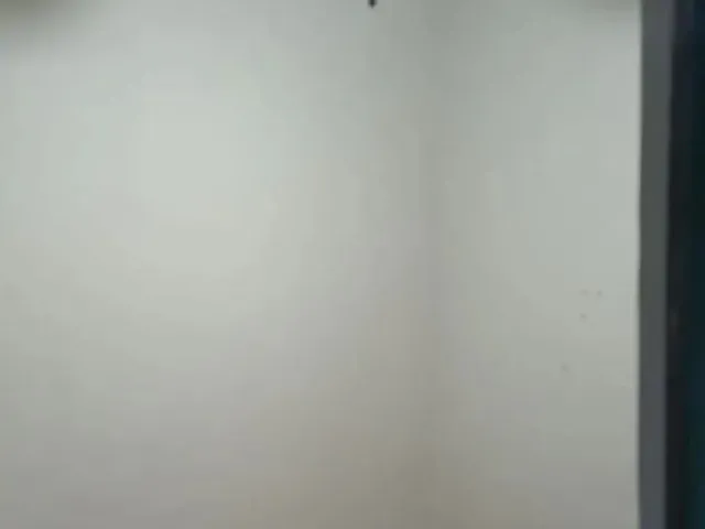 Imagem 2: Vendo Casa Colonial com Piscina ,1 Quarto , Espaço para Fazer Outro...