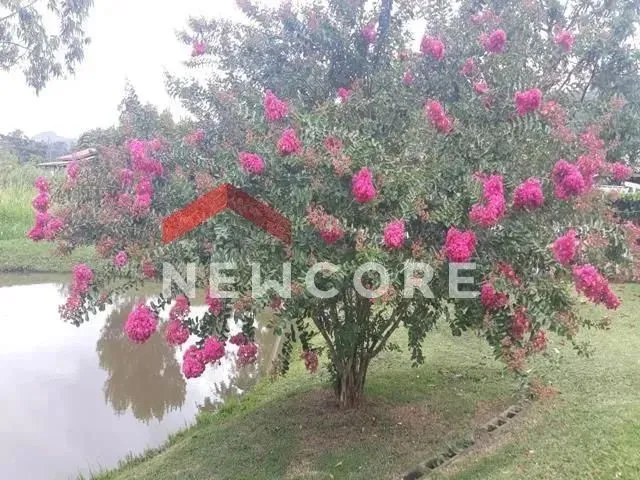 Imagem 4: Casa em Estrada Geral Ressacada - Ressacada - Garopaba/Sc