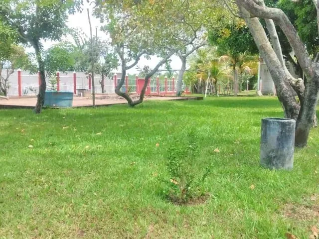 Imagem 5: Vendo Lindo Sítio em Retiro do Congo