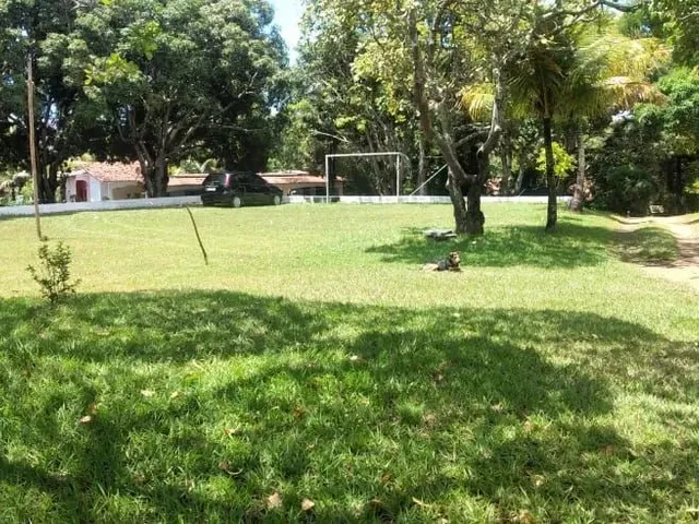 Imagem 6: Vendo Lindo Sítio em Retiro do Congo