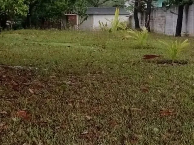Imagem 7: Vendo Lindo Sítio em Retiro do Congo