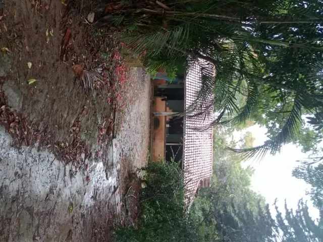 Imagem 11: Vendo Lindo Sítio em Retiro do Congo