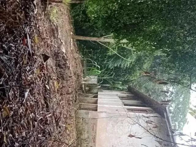 Imagem 13: Vendo Lindo Sítio em Retiro do Congo