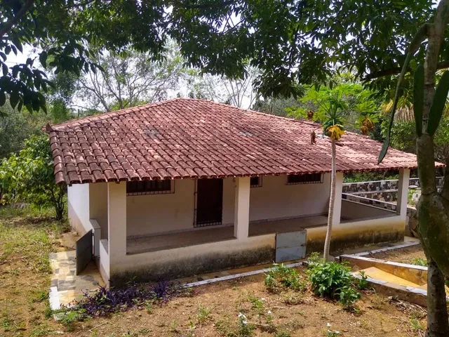 Imagem: Sítio 5.000 M² com Casa Pronta
