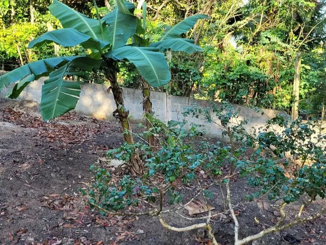 Imagem 2: Chácara Retiro do Congo