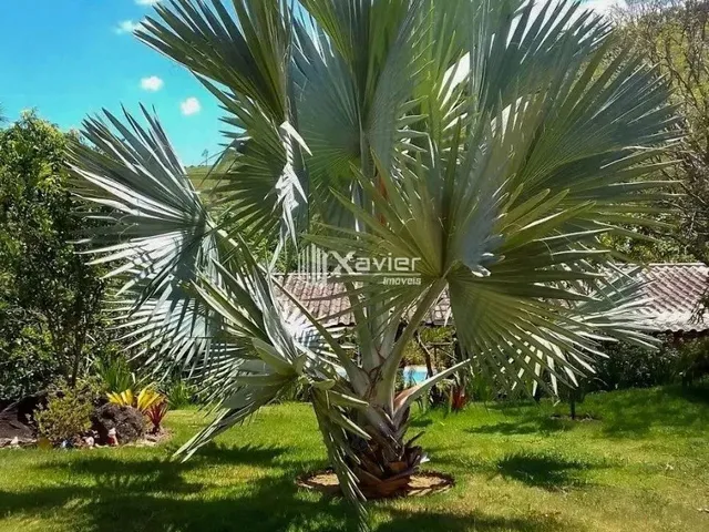 Imagem 11: Chácara À Venda em São João do Jaboti, Guarapari-Es, 3.000 M² com Casa, Piscina