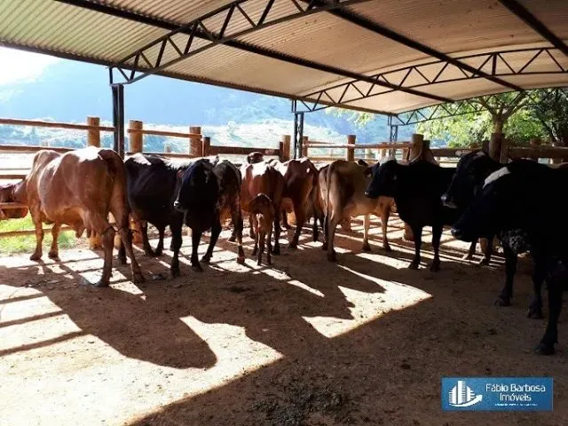 Imagem: Oportunidade -Fazenda em Mutum 140,82 Hectares