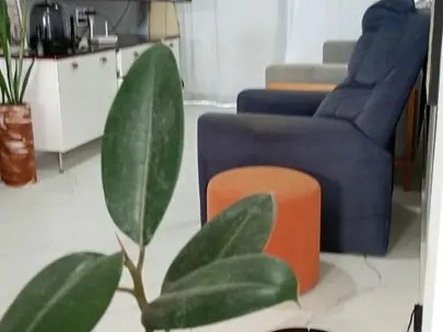 Imagem 3: Apartamento Vista Mar em Cumbuco