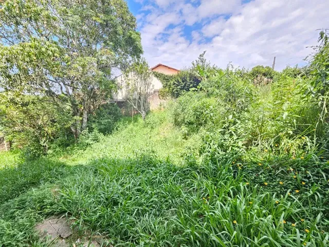 Imagem 15: Venda Residential / Home Caxambu Mg