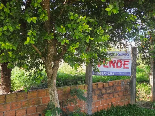 Imagem: Terreno Brazmadeira Atrás Globoaves