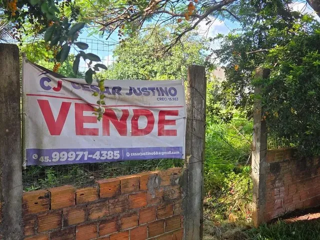 Imagem 2: Terreno Brazmadeira Atrás Globoaves
