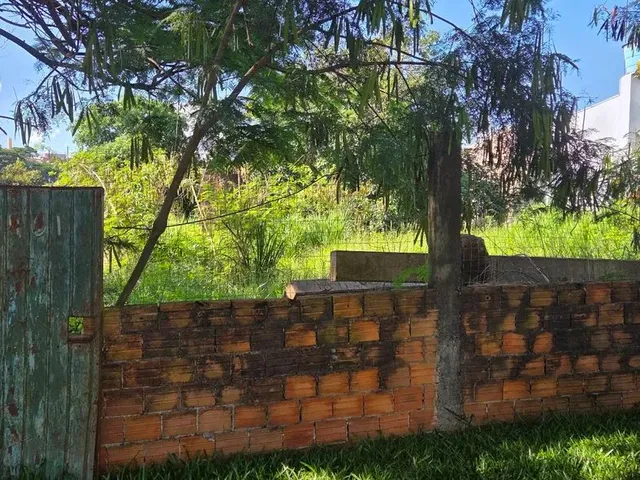 Imagem 5: Terreno Brazmadeira Atrás Globoaves