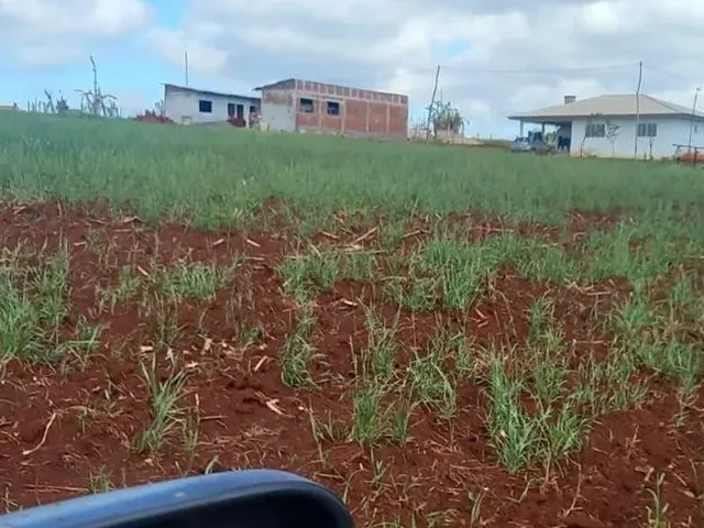 Imagem: Vendo/Troco Chácara em São Salvador 1000M²