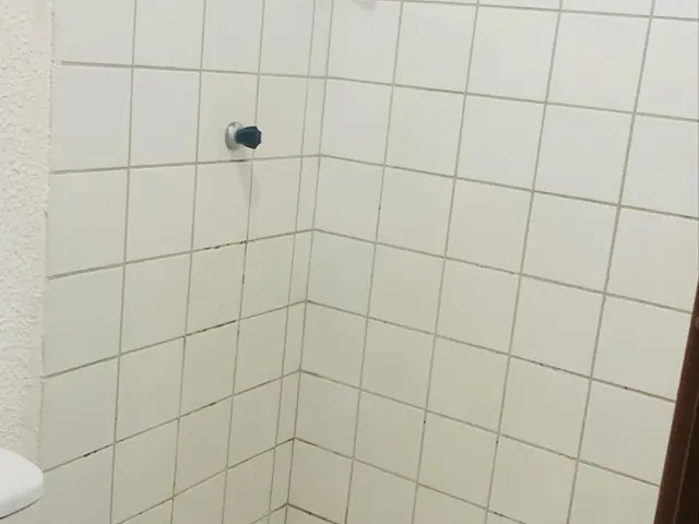 Imagem: Aluguel Apartamento de Minha Casa Minha