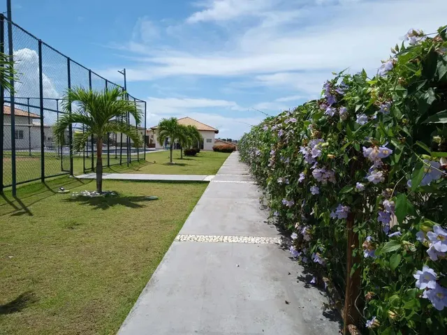 Imagem 10: Alugo Casa no Complexo Aplhaville Litoral Norte